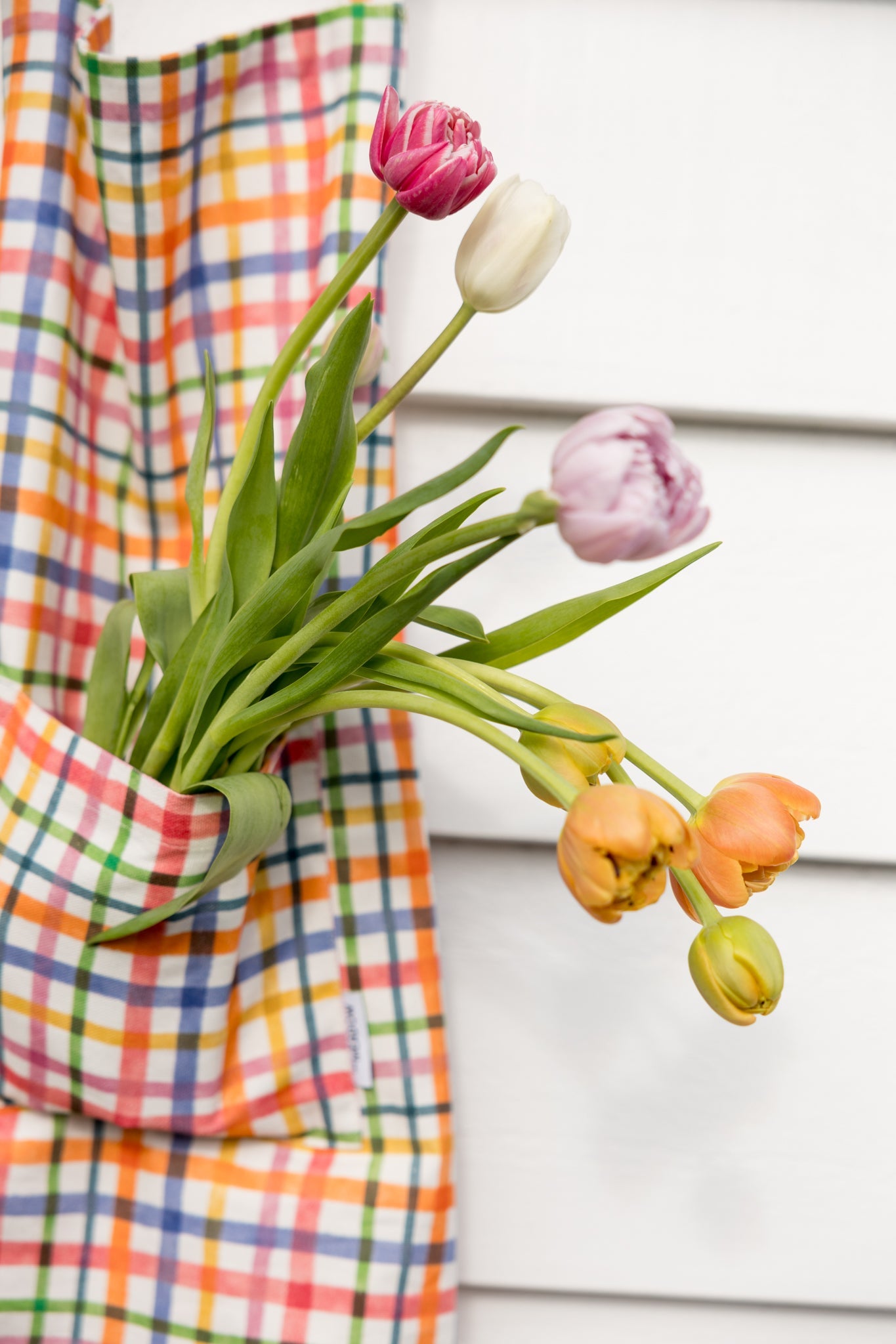 Joyful Check Apron